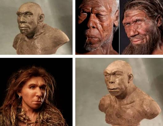 Реконструкция лиц древних людей