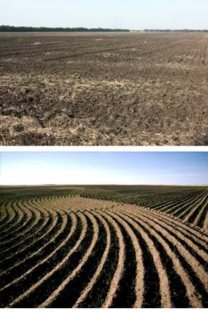 Улучшение и изменение почв степной зоны