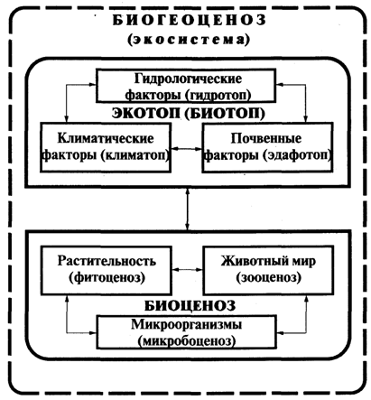 Схема биогеоценоза экосистемы