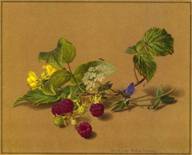 Картина Толстого: Ветка малины, бабочка и муравей